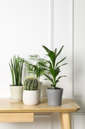 Photo of Many different plants in pots on wooden table indoors. House decor
