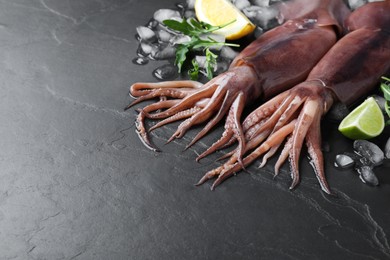 Photo of Fresh raw squids with ice, citrus fruits and arugula on black table. Space for text