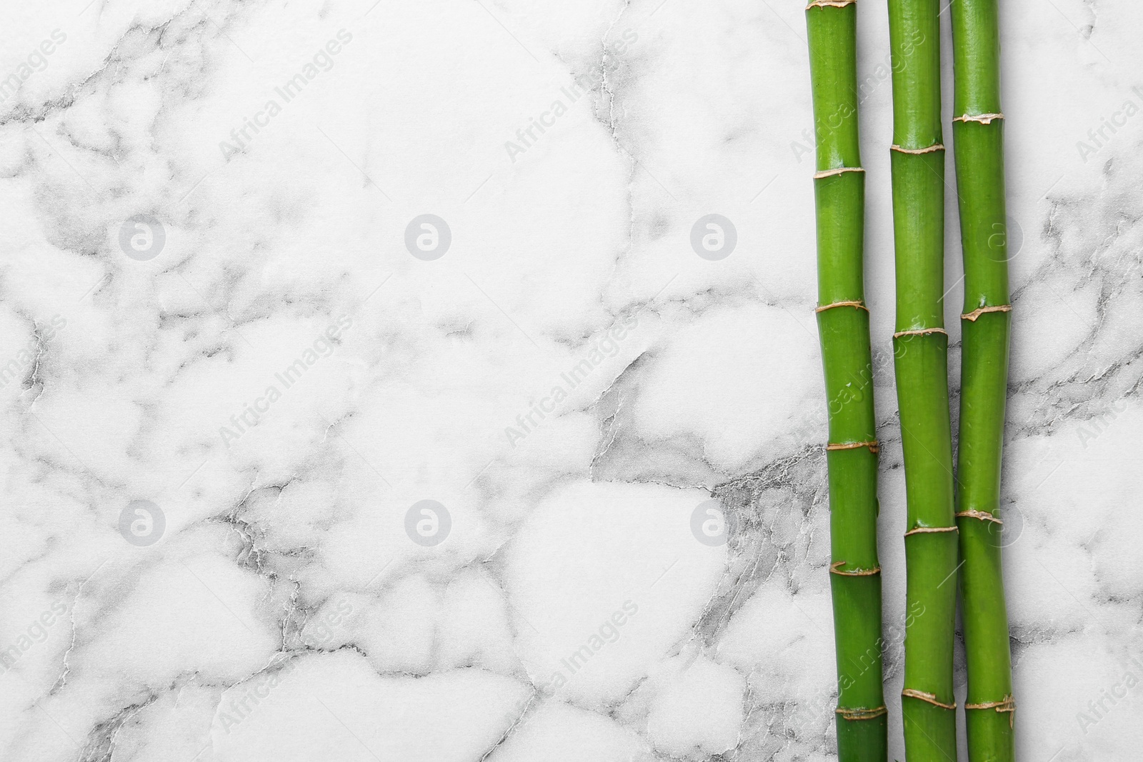 Photo of Green bamboo stems on white marble background, top view. Space for text