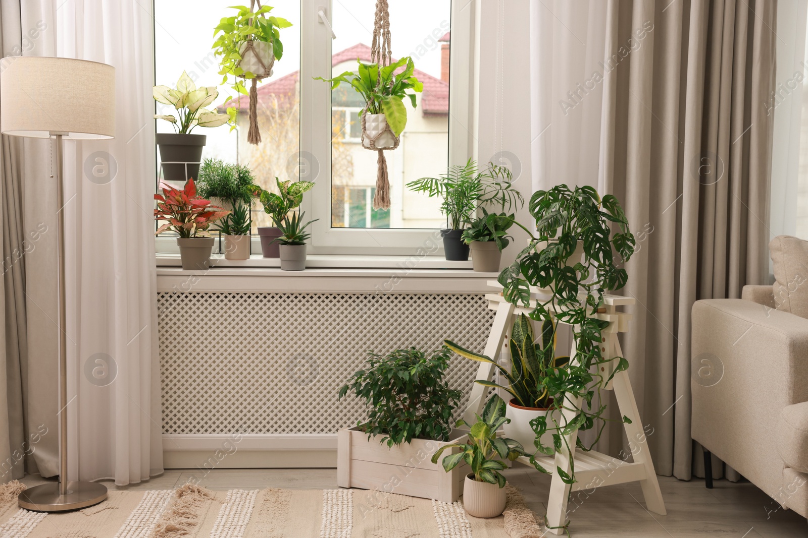 Photo of Cozy room interior with stylish furniture and beautiful houseplants near window