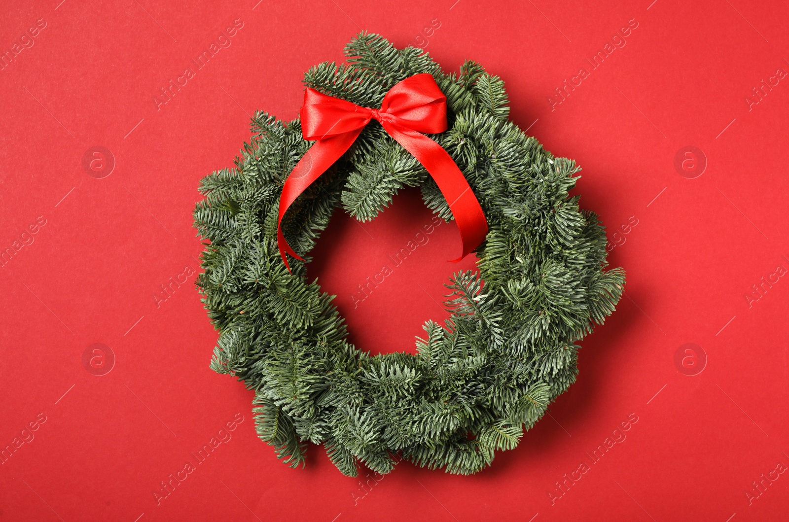 Photo of Christmas wreath made of fir tree branches with ribbon on red background