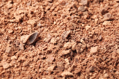 Delicious chocolate crumbs, closeup