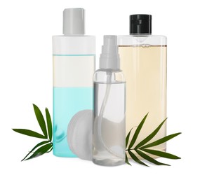 Photo of Bottles of micellar cleansing water, cotton pads and green twigs on white background