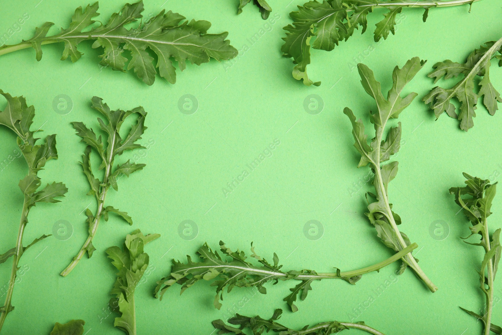 Photo of Frame of fresh arugula on green background, flat lay. Space for text