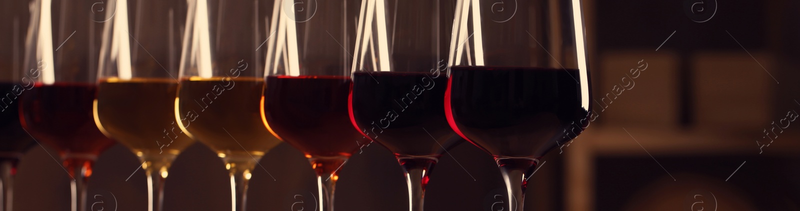 Image of Glasses with different tasty wines, closeup view. Banner design