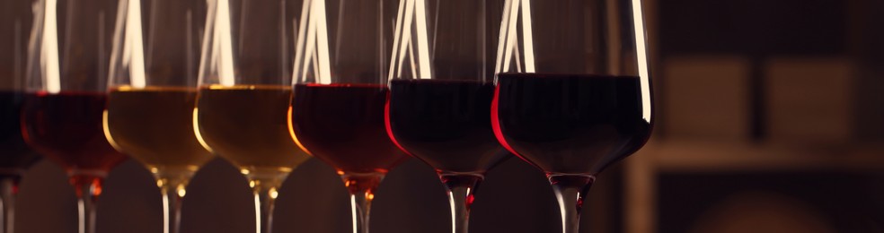 Glasses with different tasty wines, closeup view. Banner design