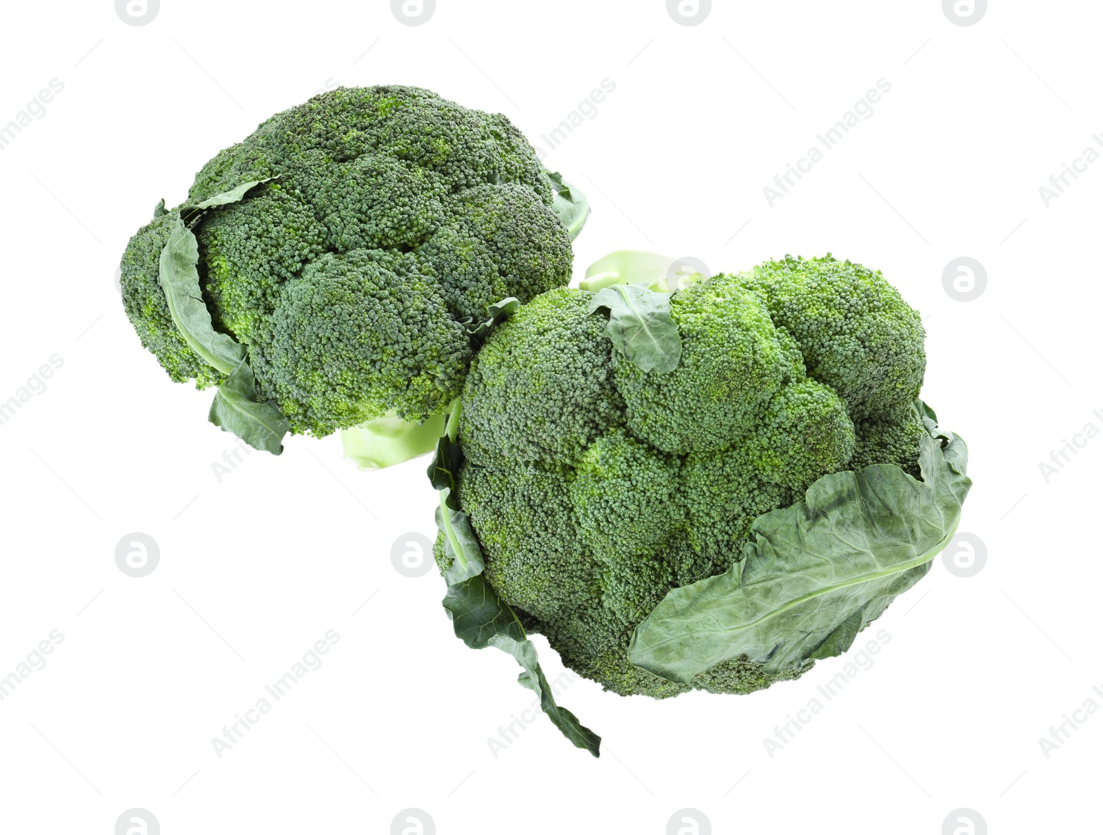 Photo of Fresh green broccoli isolated on white, top view. Organic food