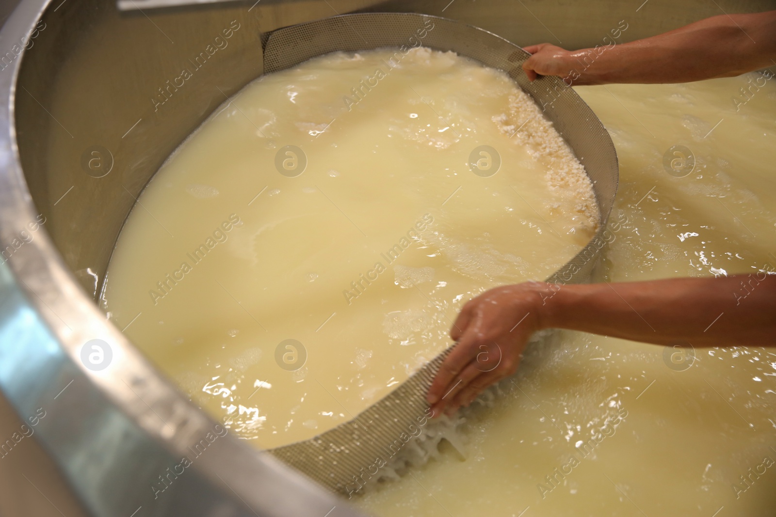 Photo of Worker separating curd from whey in tank at cheese factory, closeup