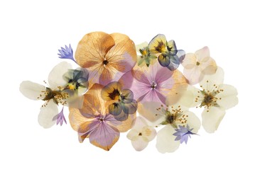 Photo of Pressed dried flowers on white background, top view. Beautiful herbarium