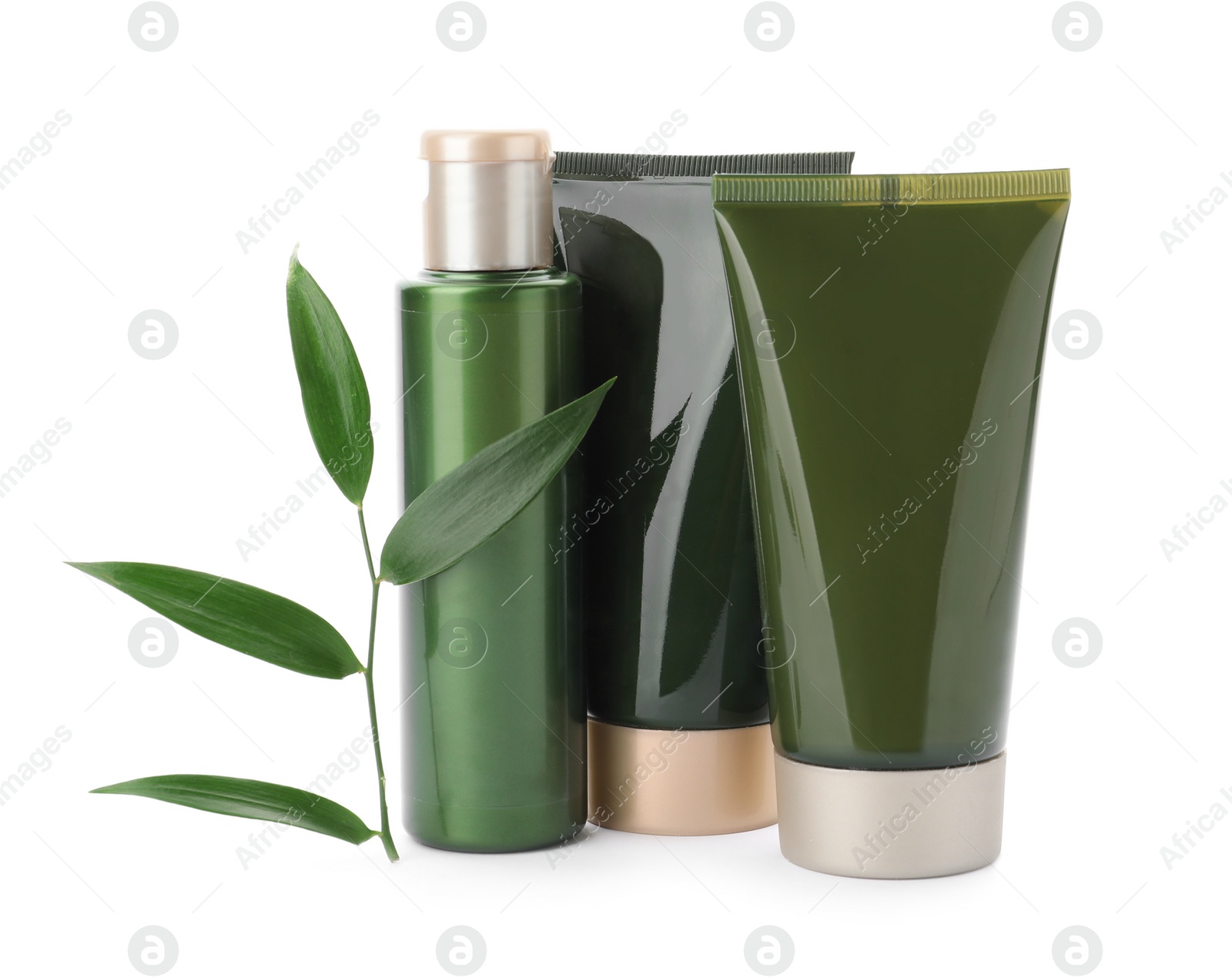 Photo of Cosmetic products and plant isolated on white