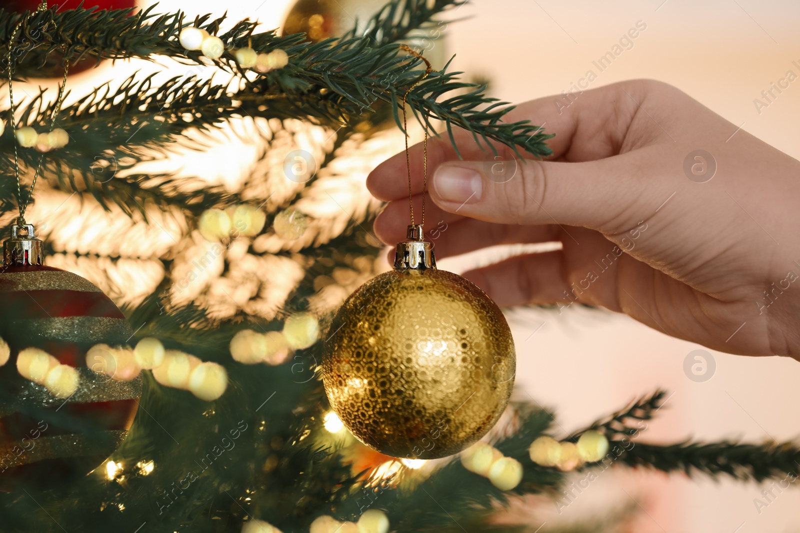 Photo of Woman decorating Christmas tree with golden festive ball on light background, closeup