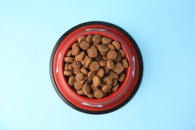 Photo of Dry dog food in feeding bowl on light blue background