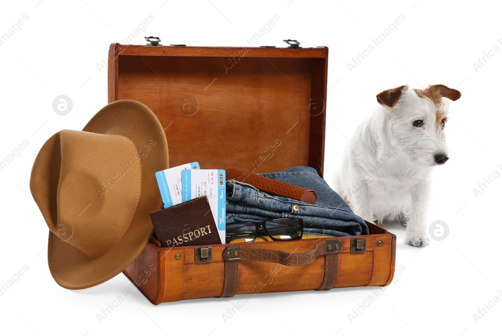 Photo of Travel with pet. Dog, clothes and suitcase on white background