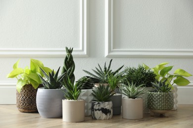 Photo of Many different potted plants on floor near white wall. Floral house decor