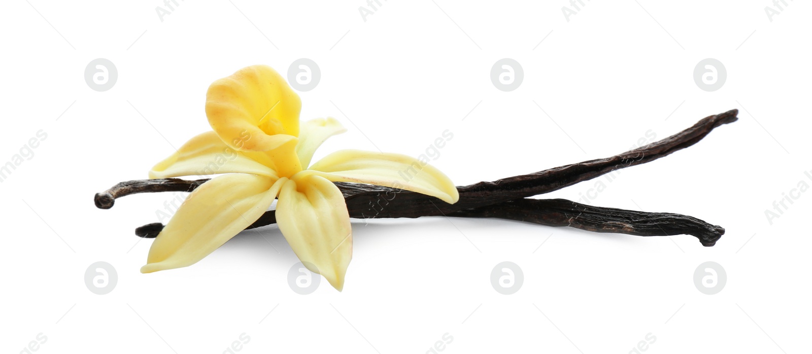 Photo of Aromatic vanilla sticks and flower on white background