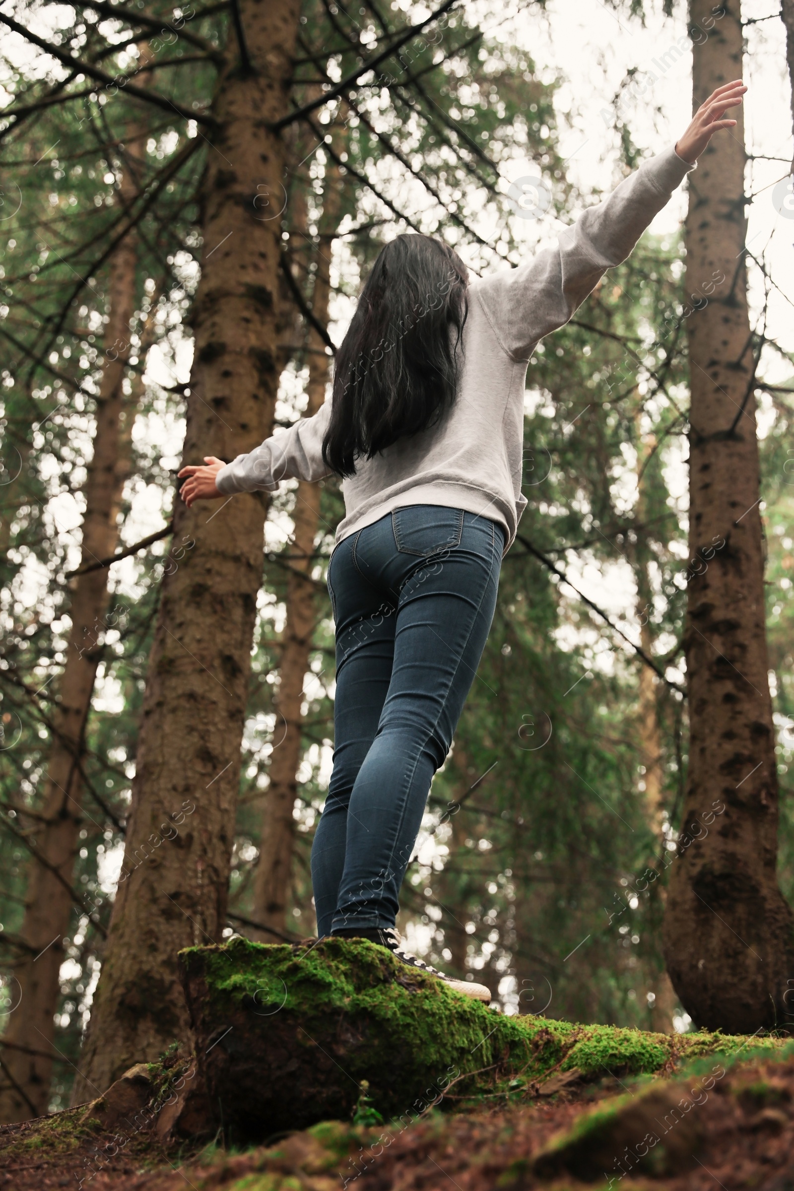 Photo of Woman on walk in beautiful coniferous forest