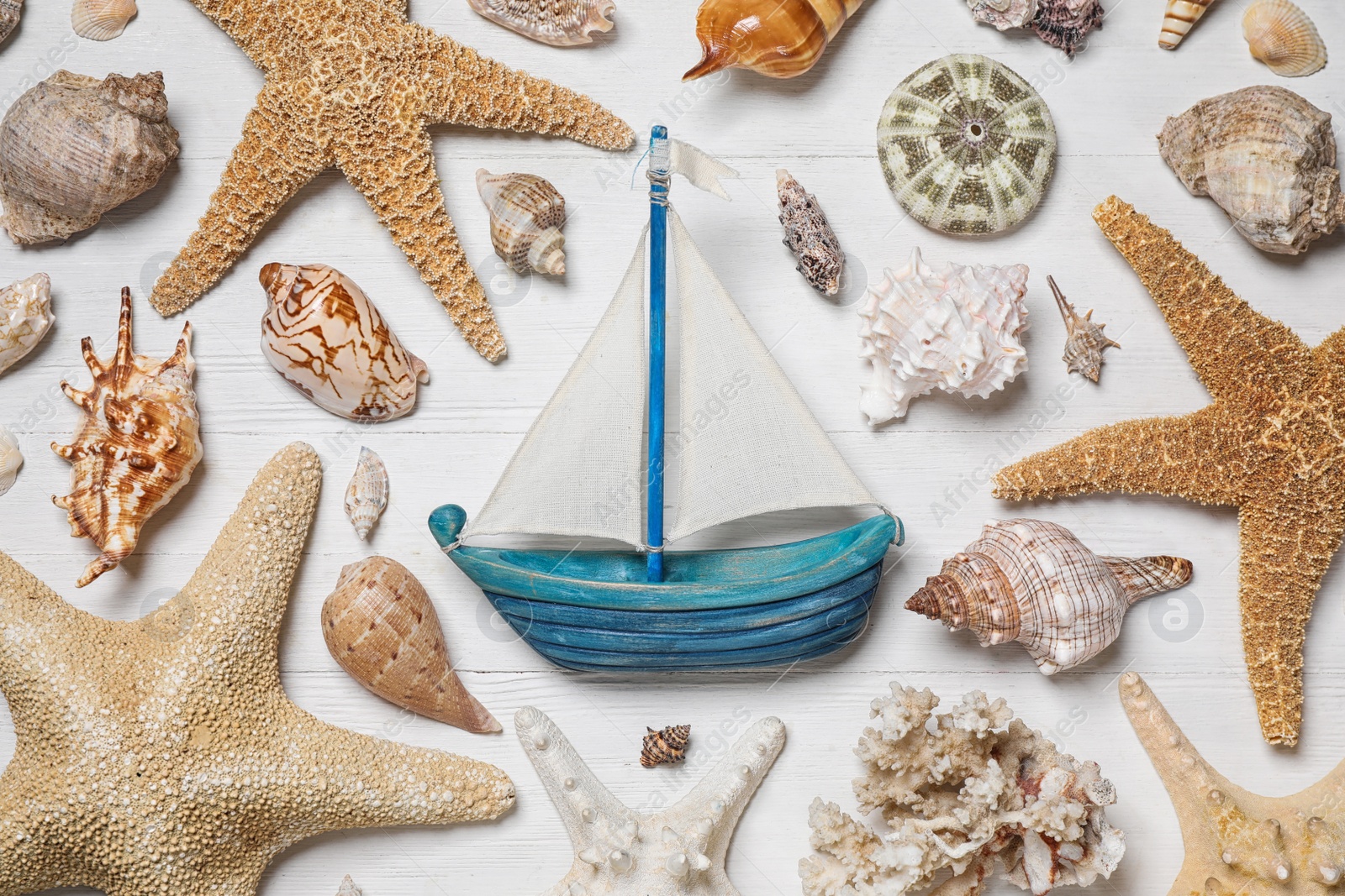 Photo of Flat lay composition with toy ship and sea shells on white wooden background