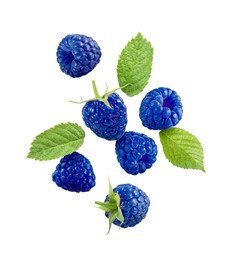 Image of Many fresh blue raspberries and green leaves falling on white background