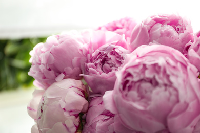 Beautiful fresh pink peonies indoors, closeup view