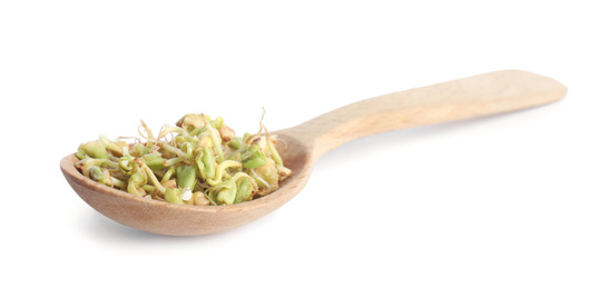 Wooden spoon of sprouted green buckwheat isolated on white