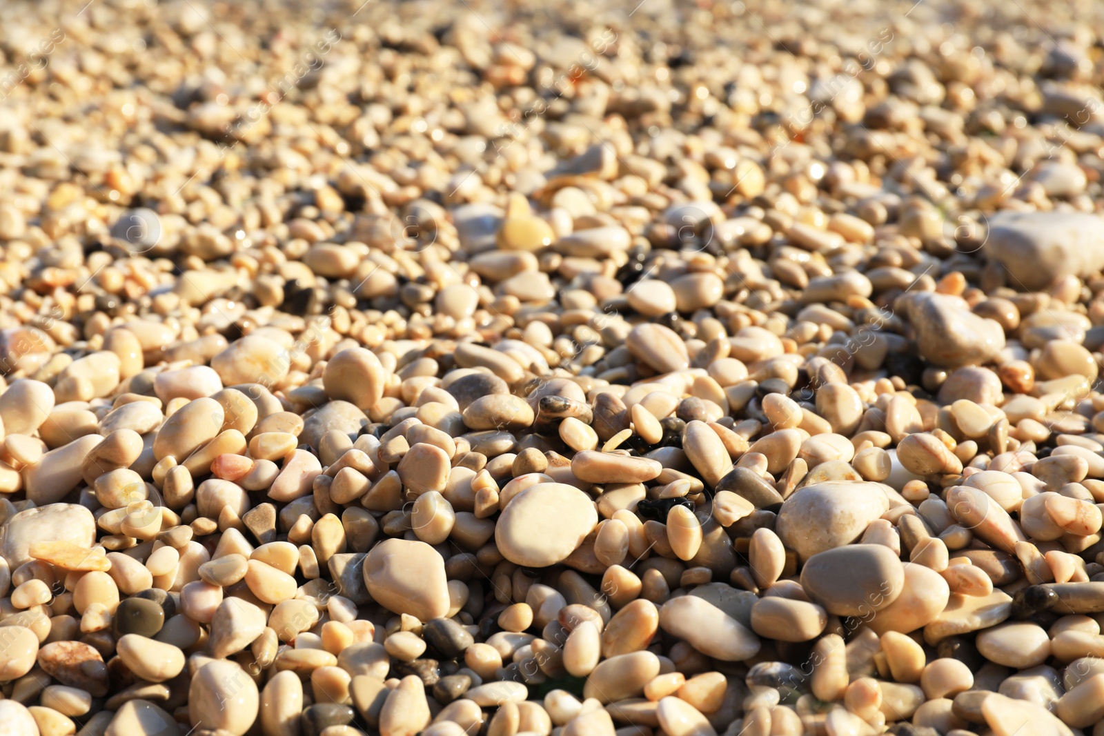 Photo of Closeup view of pebble beach on sunny day