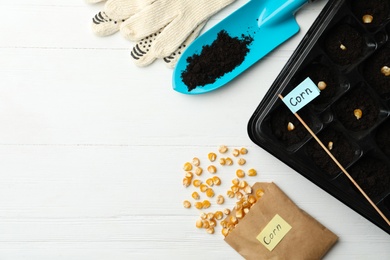 Flat lay composition with corn seeds and gardening equipment on white wooden table, space for text. Vegetable planting