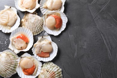 Photo of Fresh raw scallops on grey table, flat lay. Space for text