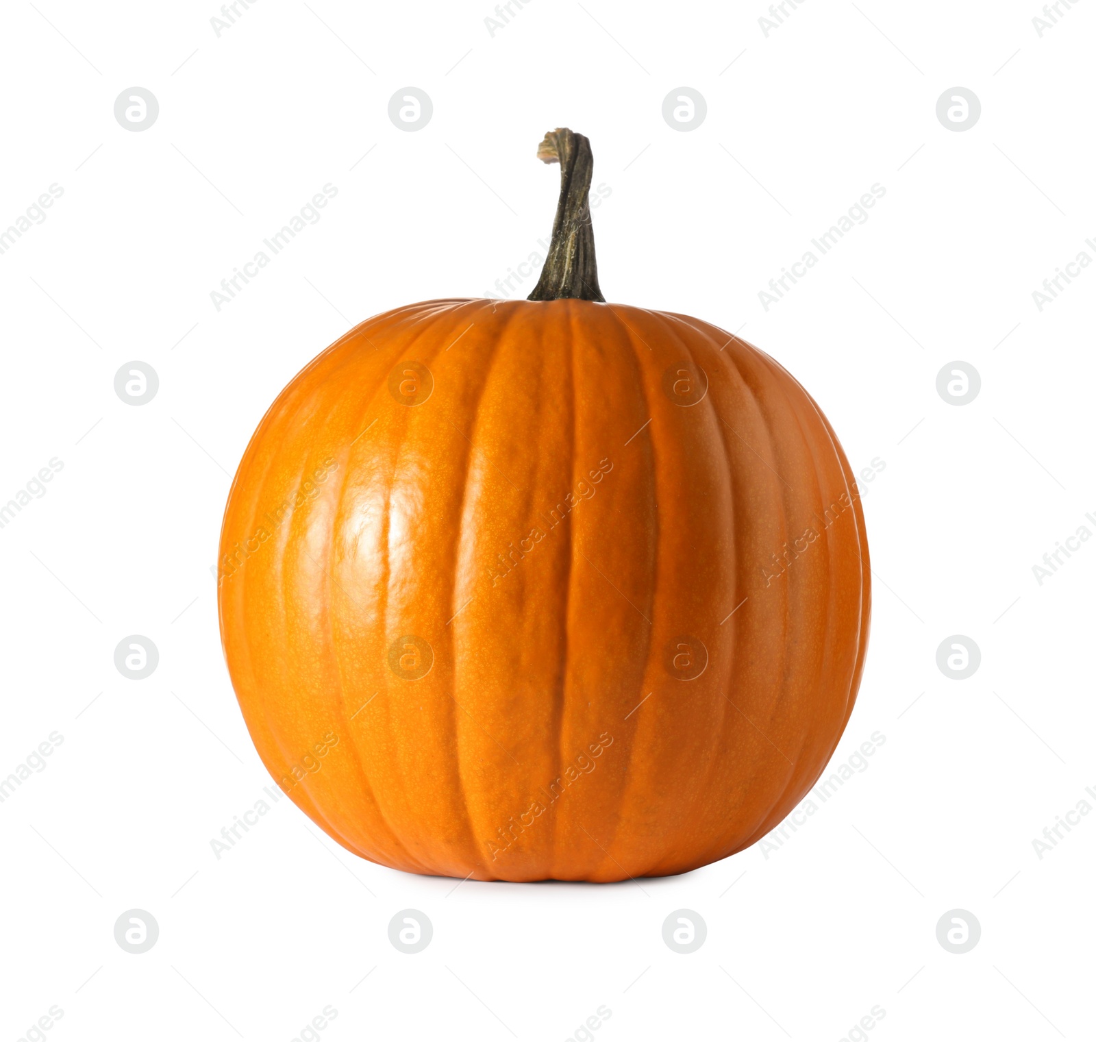 Photo of One fresh orange pumpkin isolated on white