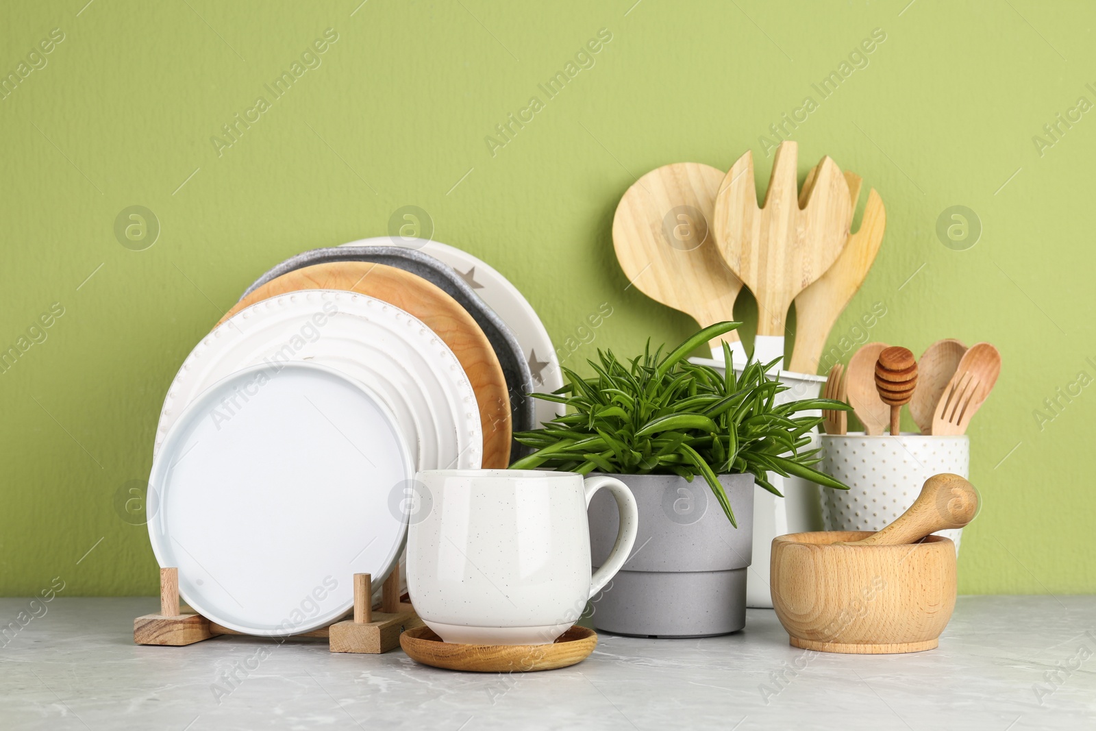 Photo of Green plant and different kitchenware on table near color wall. Modern interior design