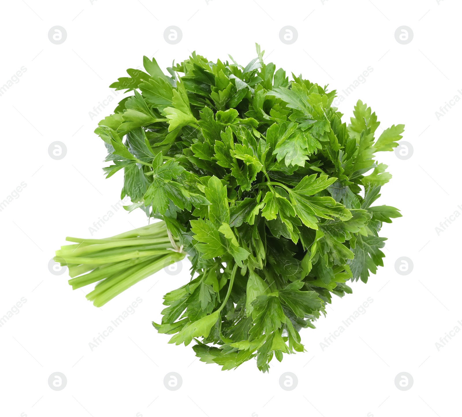 Photo of Fresh green parsley on white background, top view