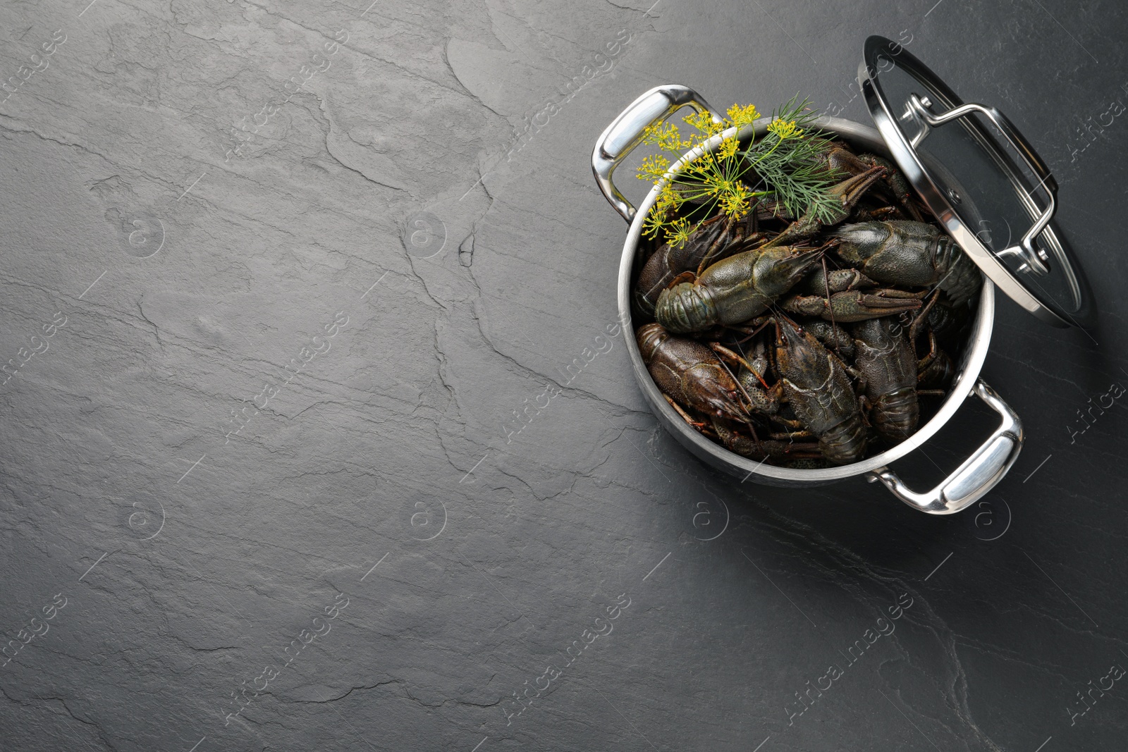 Photo of Fresh raw crayfishes with dill in pot on black table, top view. Space for text