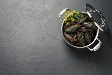 Fresh raw crayfishes with dill in pot on black table, top view. Space for text