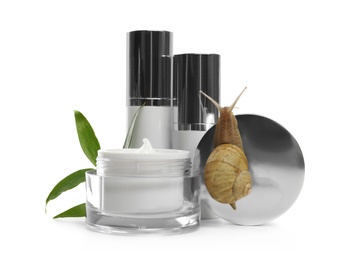 Snail, cosmetic products and green leaves isolated in white