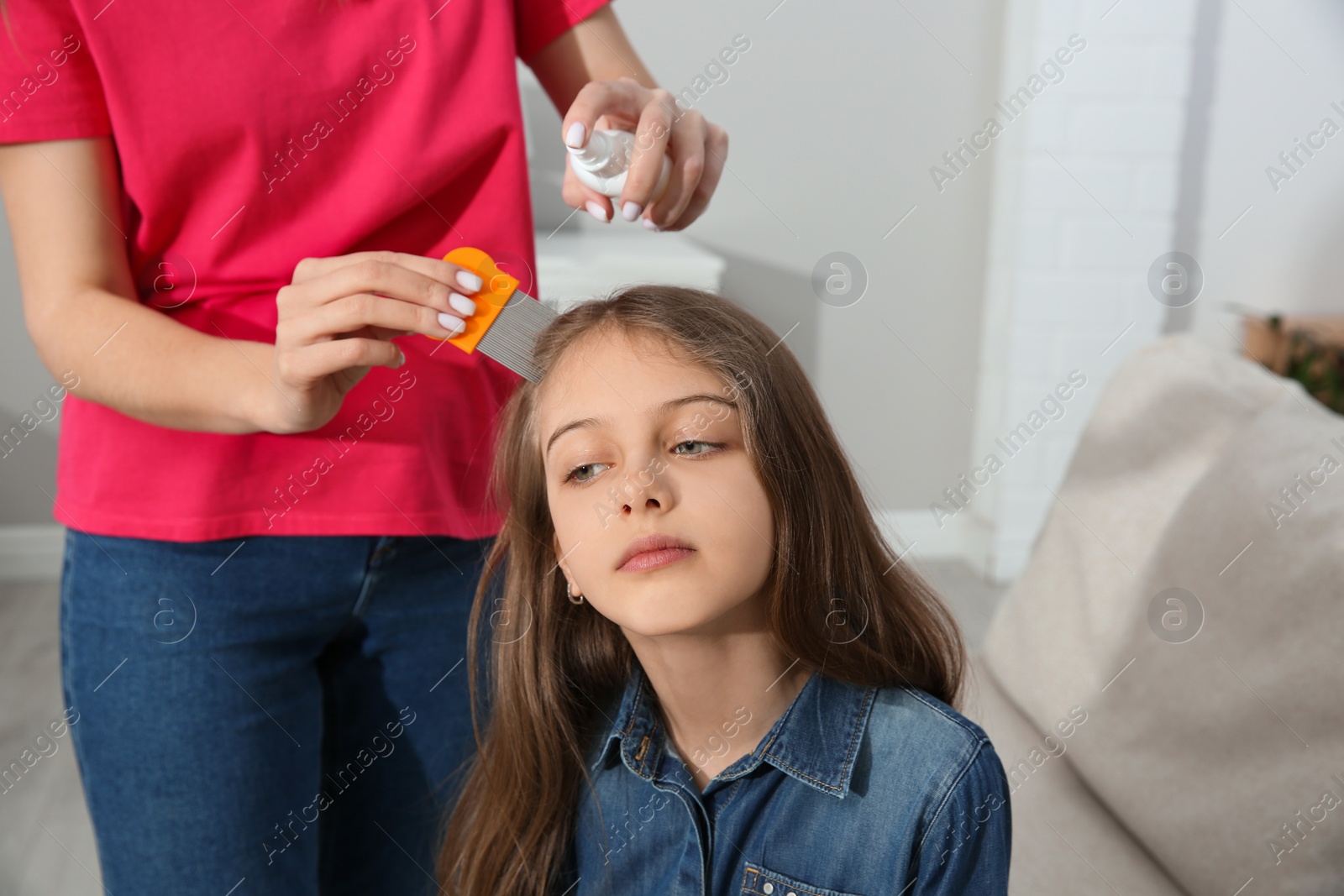 Photo of Mother using nit comb and spray on daughter's hair at home. Anti lice treatment