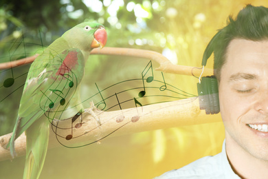 Image of Double exposure of beautiful parrot on tree branch and man in headphones listening to music, closeup