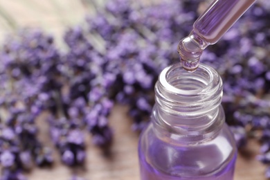 Natural oil dripping into bottle and lavender flowers on table, closeup with space for text. Cosmetic product