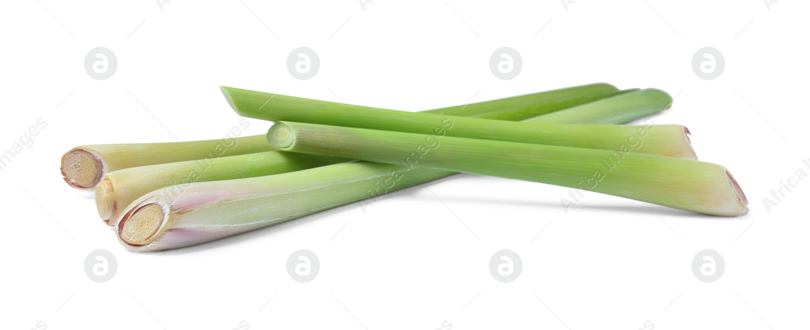 Photo of Fresh aromatic lemongrass stalks on white background