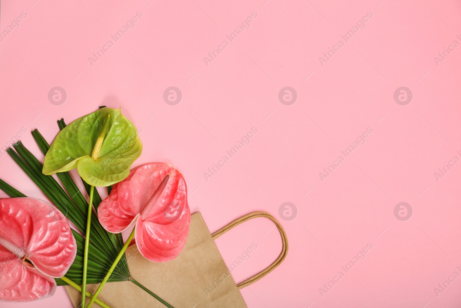 Photo of Stylish flat lay composition with shopping bag, tropical leaf and flowers on color background