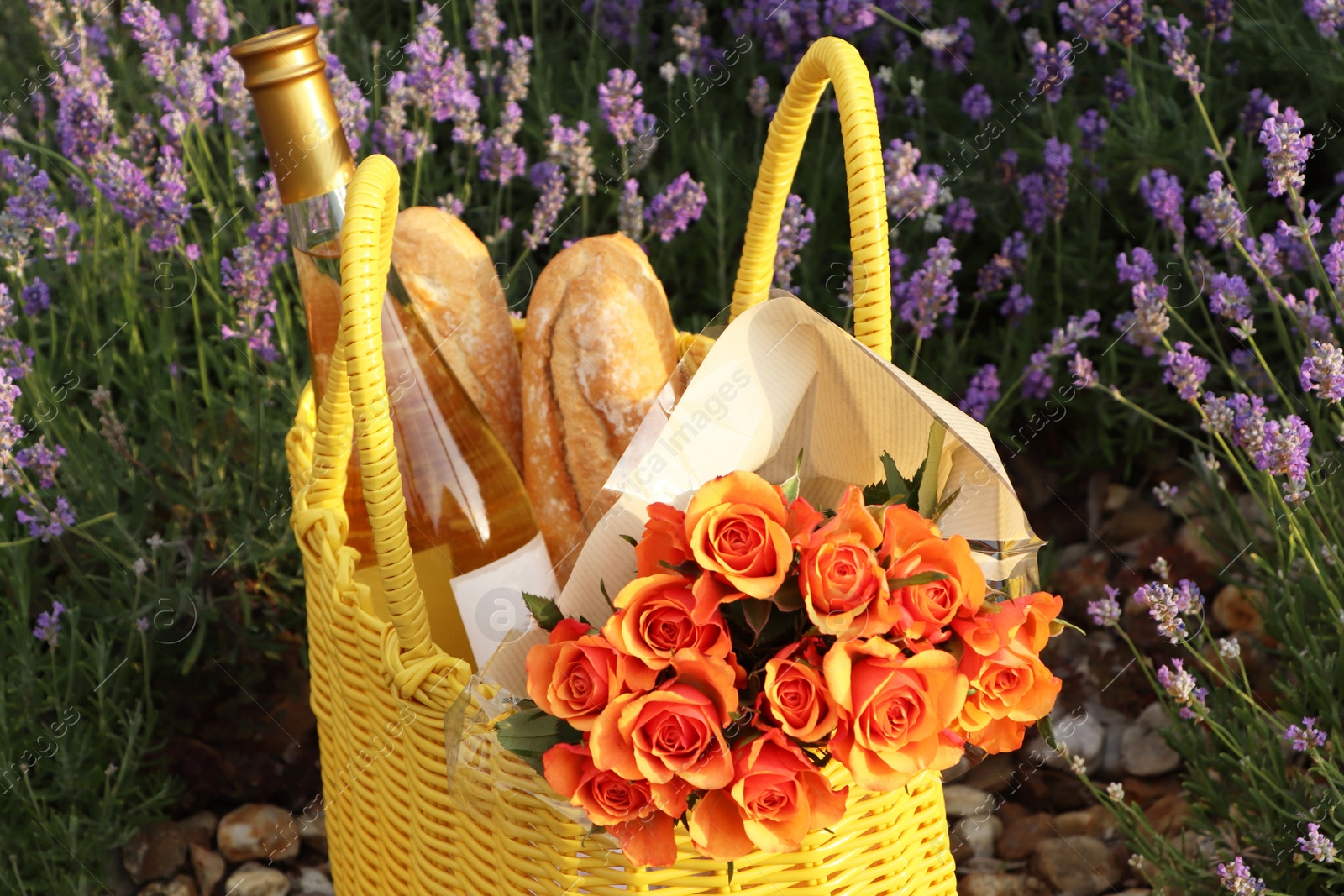 Photo of Yellow wicker bag with beautiful roses, bottle of wine and baguettes near lavender flowers outdoors