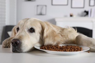 Photo of Cute retriever lying at white table near bowl of food indoors