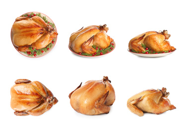 Image of Collection of cooked turkey on white background