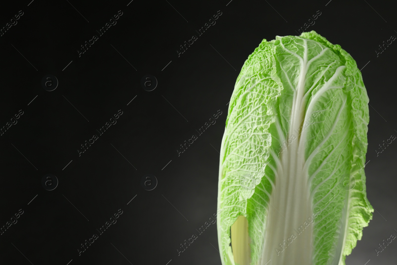 Photo of Fresh ripe Chinese cabbage on black background, space for text