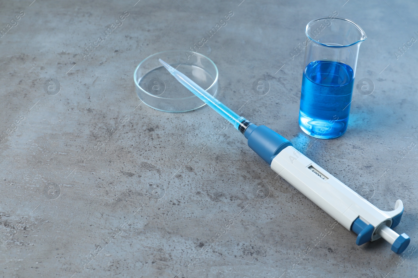 Photo of Laboratory analysis. Micropipette, petri dish and beaker on grey table, space for text