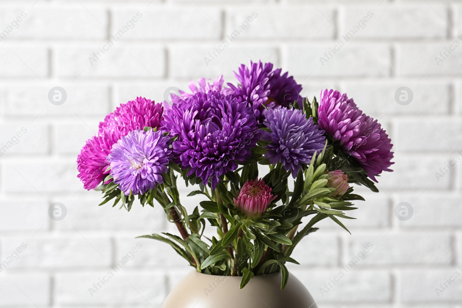 Photo of Beautiful aster flower bouquet in vase against brick wall