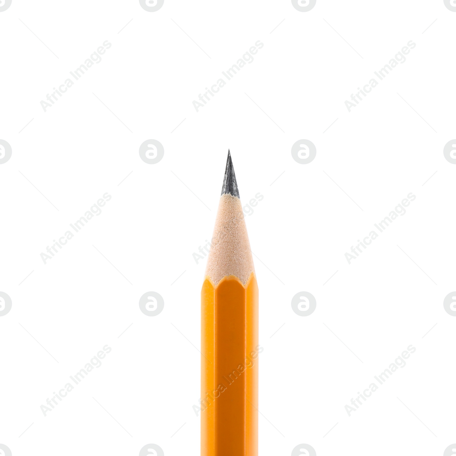 Photo of One sharp graphite pencil isolated on white