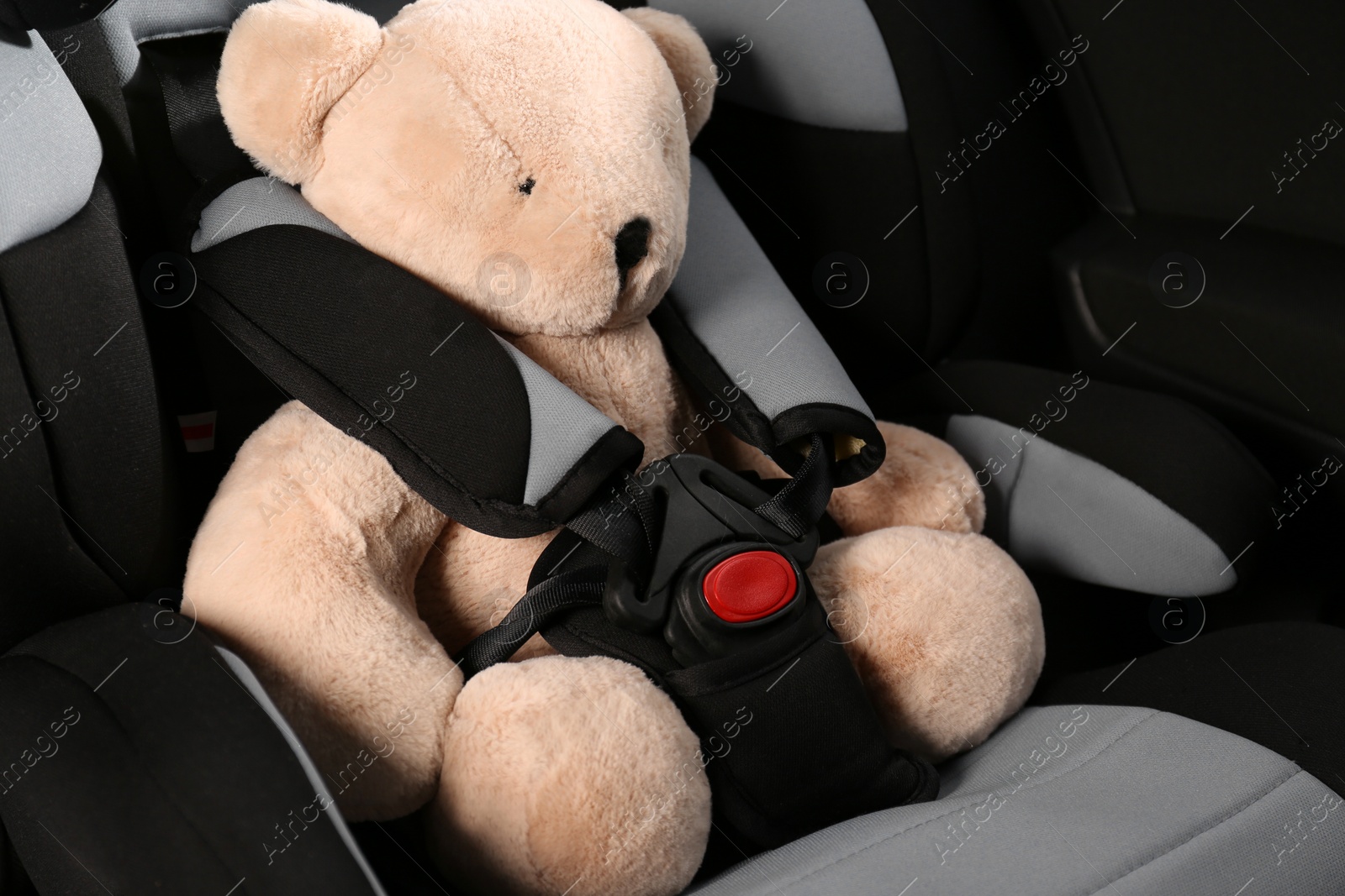 Photo of Teddy bear in child safety seat inside car, closeup