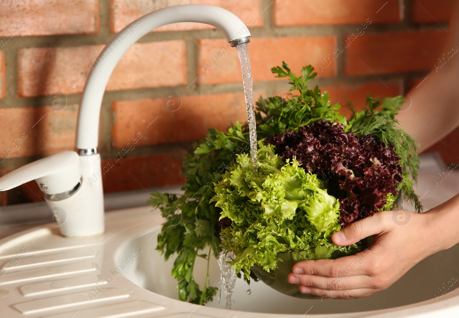Photo of Woman washing fresh lettuce, parsley and dill in kitchen sink, closeup