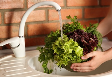 Woman washing fresh lettuce, parsley and dill in kitchen sink, closeup