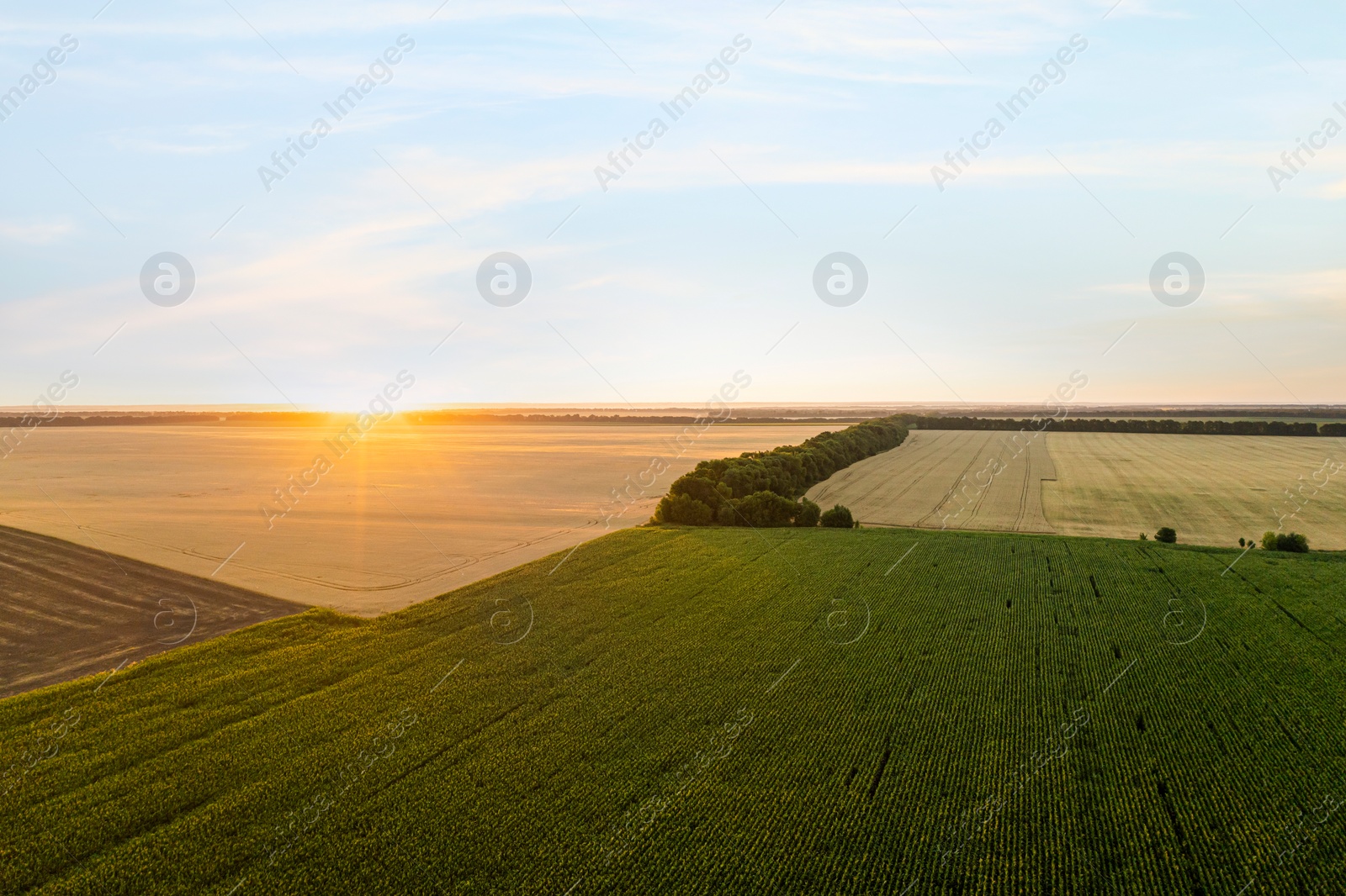 Image of Aerial view of agricultural field at sunrise