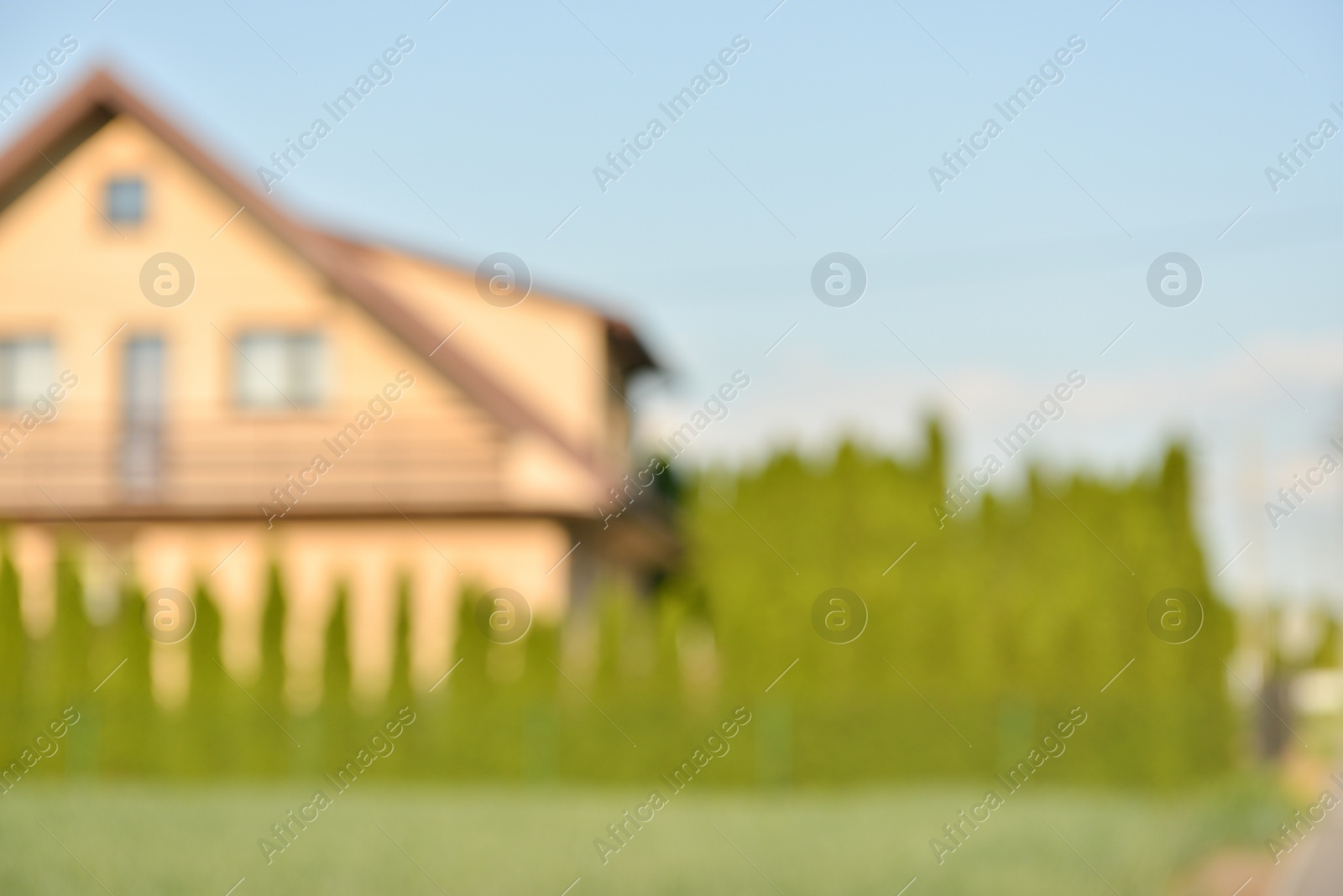 Photo of Blurred view of house and beautiful green trees on sunny day